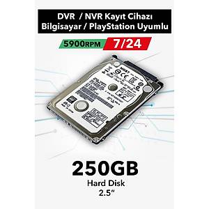 250GB HARD D�SK - 5400RPM 7/24 V�DEO D�SK G�VENL�K KAMERASI S�STEM� - G�VENL�K KAMERASI