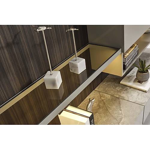 Biense-AO Tv �nitesi