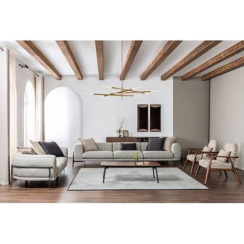 Arkadia Gri-BMN Koltuk Takm