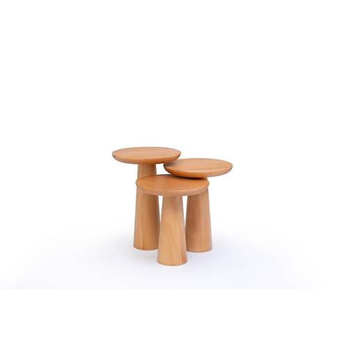 Mantar-ANK Servis Sehpa