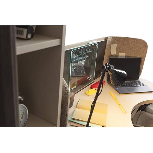 Focus-SVN Gen� Odas�