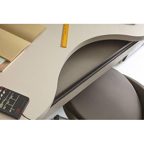 Focus-SVN Gen� Odas�