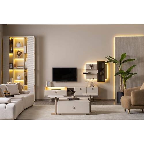 Viral-FAM Tv �nitesi