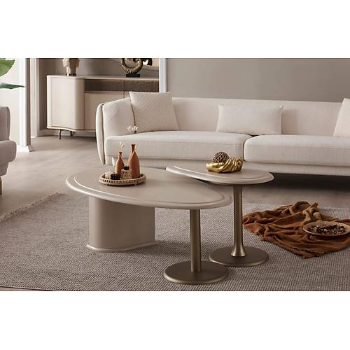 Roza-NK Tv �nitesi