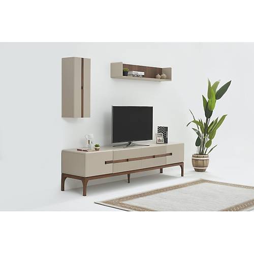 Basel-FSM Tv �nitesi