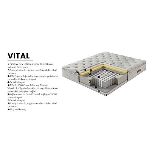 Vital Baza Ba�l�k