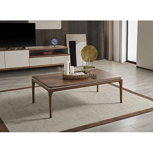 Longe Ceviz-�� Tv �nitesi