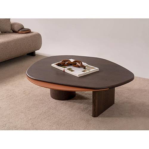 Diorra-SEN Tv �nitesi
