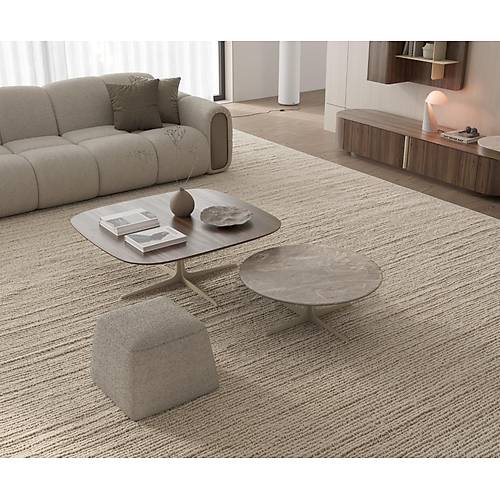 Nessa-YL Tv �nitesi