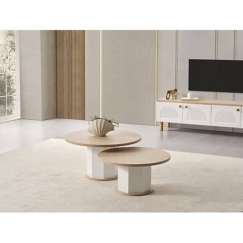 Nergis-BER Tv nitesi