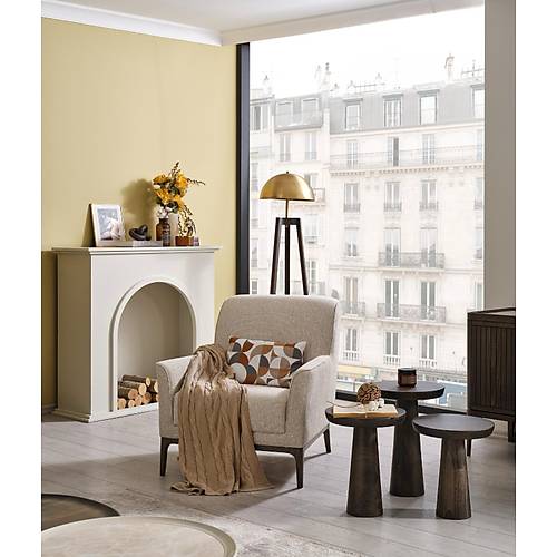 Colorado-PAL Tv �nitesi