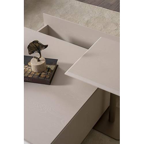 Viral-FAM Tv �nitesi