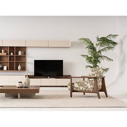 Flandre-SAF Tv �nitesi