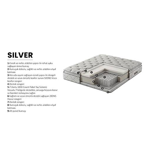 Silver Baza Ba�l�k