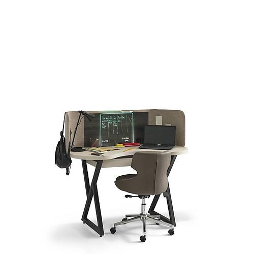 Focus-SVN Gen� Odas�