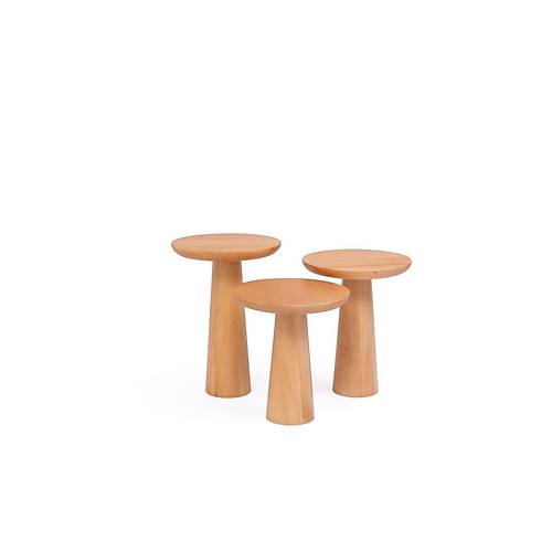 Mantar-ANK Servis Sehpa