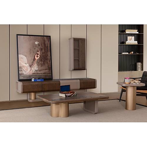 Aurin-�� Tv �nitesi