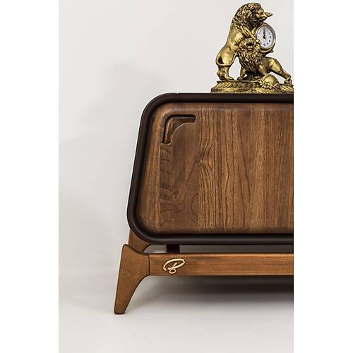 Mustang-BZT Tv nitesi