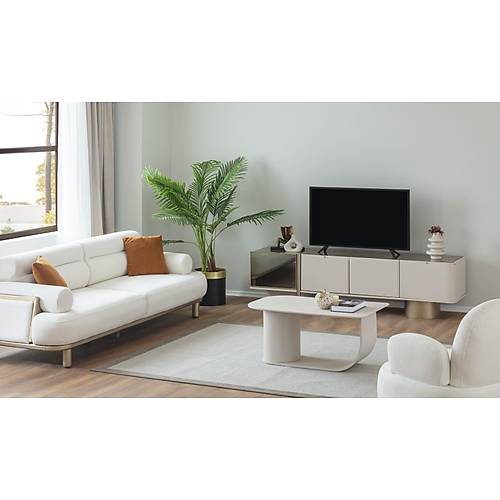 Asya-ES Tv �nitesi