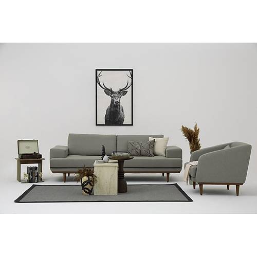 Hora-BRT Koltuk Tak�m�