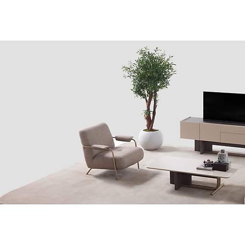 Ronita Koltuk Tak�m�