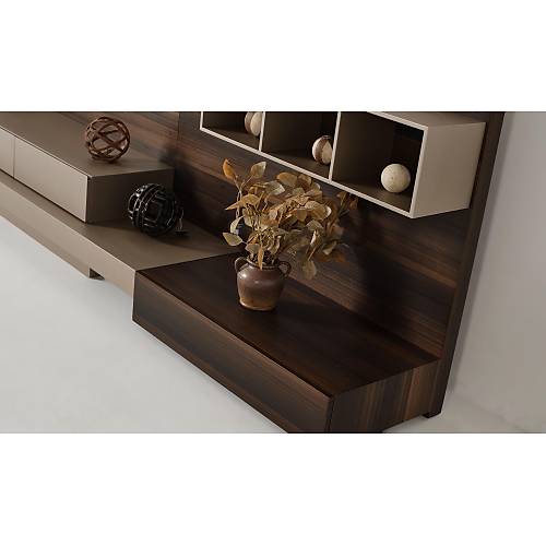 Lassioni-� Tv �nitesi