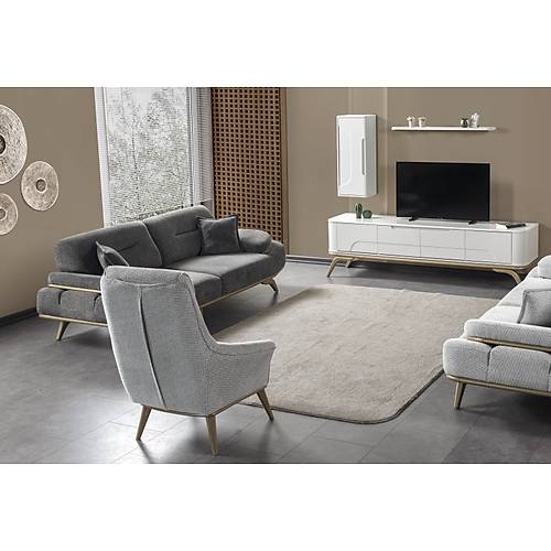 Elit-ARV Tv �nitesi