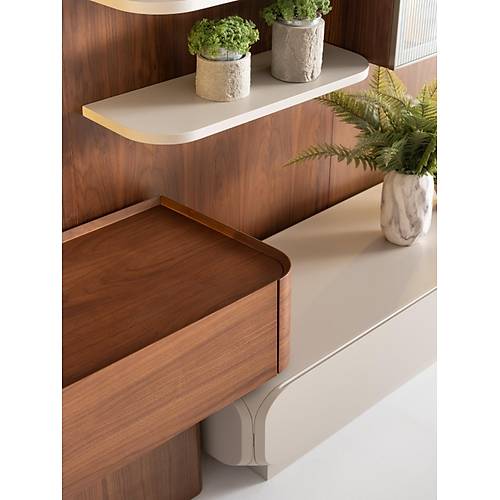 Librevil-NLL Tv �nitesi