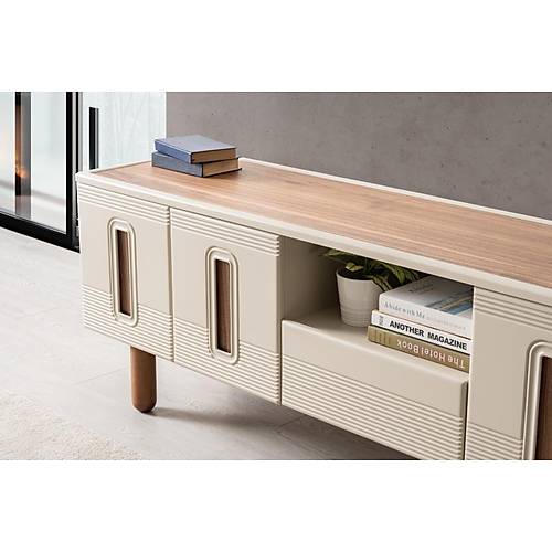 Asya-ZYB Tv �nitesi