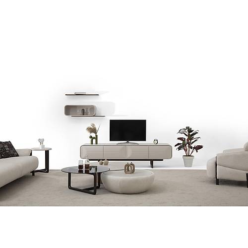 Salinas Gri-WS Tv �nitesi