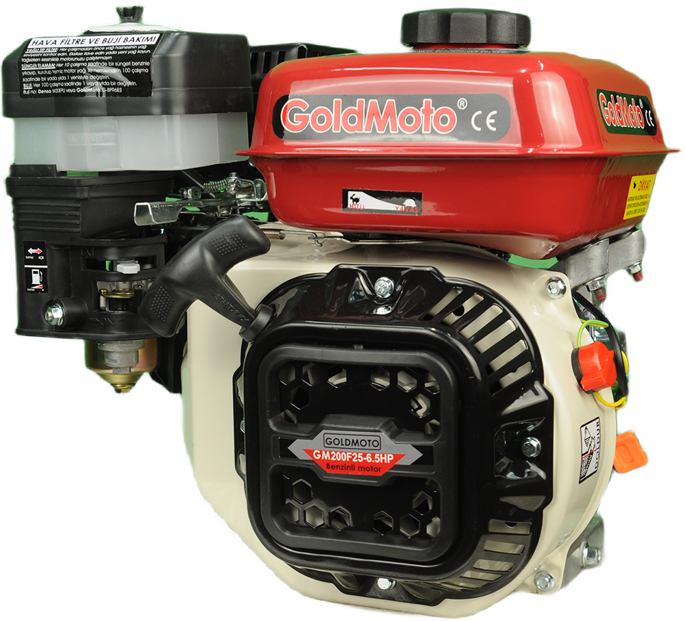 GoldMoto GM200F25 6.5 Hp Krank Mili Frezeli 25mm Benzinli Motor