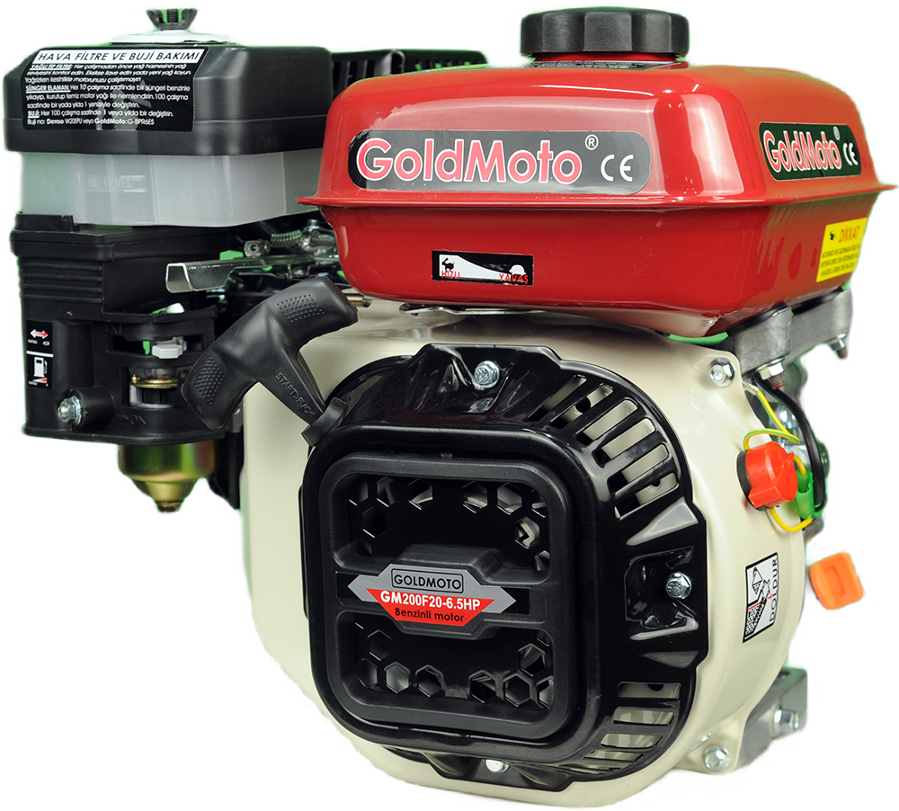 GoldMoto GM200F20 6.5 Hp Krank Mili Frezeli Benzinli Motor