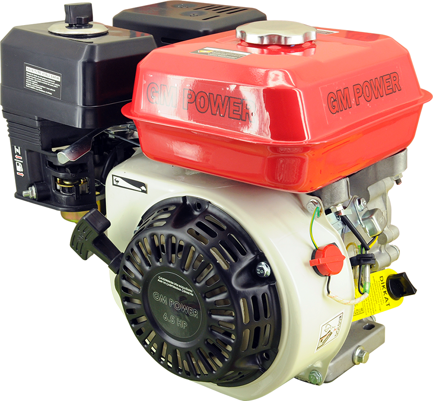 GoldMoto Gmpower GM200KS Benzinli Motor 6.5 Hp İpli Krank Mili Kamalı
