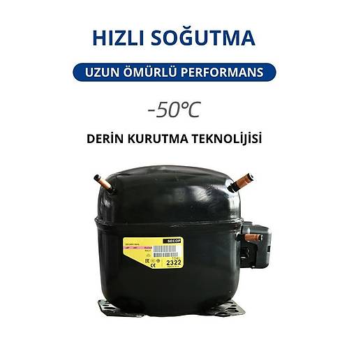 Dalle DLF-04 Y�ksek Teknolojili Freeze Dry Dondurarak Kurutma F�r�n�