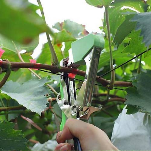 Garden pro Domates Balama Makas - Balama Band Ve Zmba Hediyeli