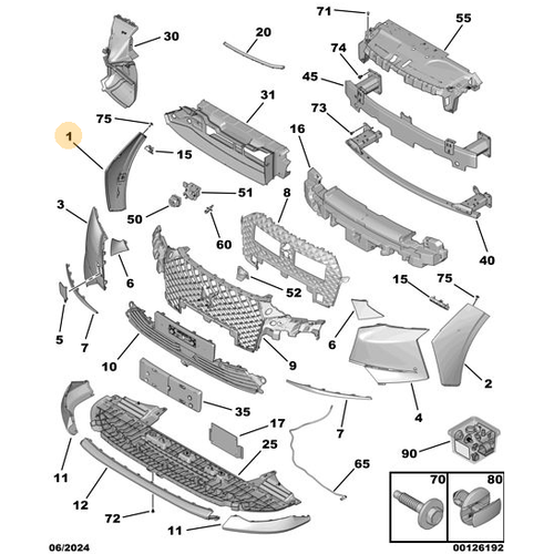 Orijinal DS4 n Tampon Kesi Sa 168279841T