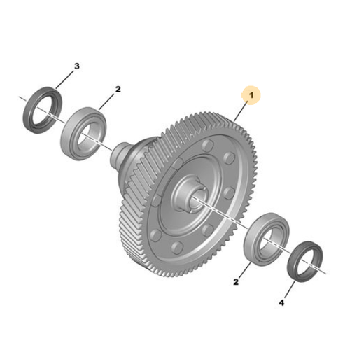 ORIJINAL DFRANSYEL  3118G8  19X71