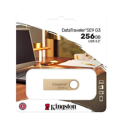 Kingston 256Gb Usb3.2 Gen1 Dtse9G3-256Gb