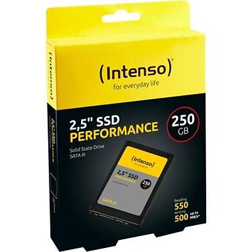 Intenso 250 GB 2.5
