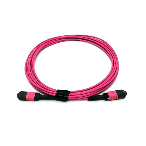 Beek Bc-Fo-Mpmpb-10-4-Ff