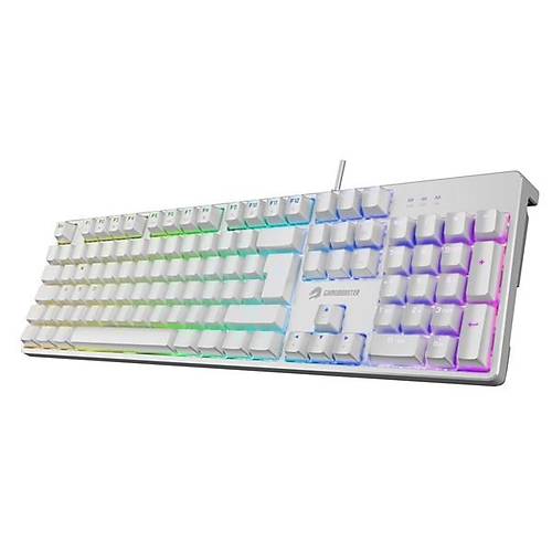 GAMEBOOSTER G24W Enigma Rainbow Ayd�nlatmal� Red Switch Mekanik Beyaz Oyun Klavyesi