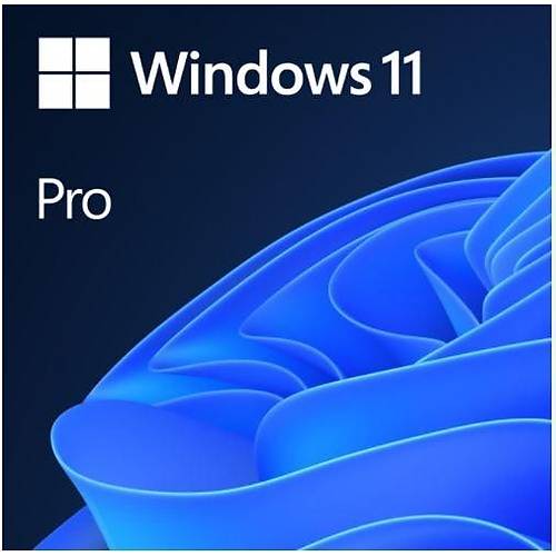 Windows 11 Pro ngilizce Oem (64 Bit) Fqc-10528