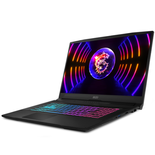 MSI 17.3