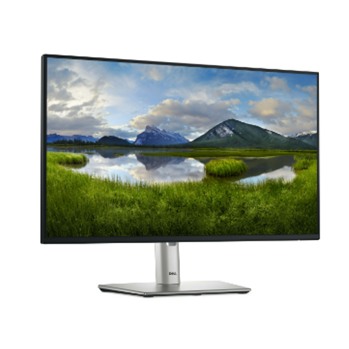 Dell 24