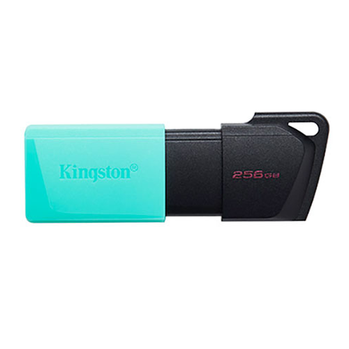 Kngstn 256Gb Exodia Dtxm-256Gb Usb 3.2 Bellek
