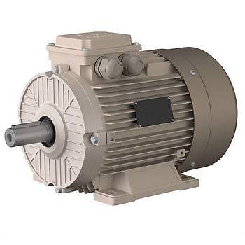 Omega Motor 15 kW, 1500 devir, B3 Ayakl