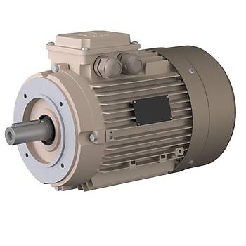 Omega Motor 0.75 kW, 1500 devir, B14 Flanl