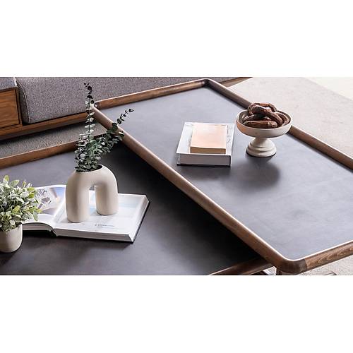 Modest Rectangular Coffee Table