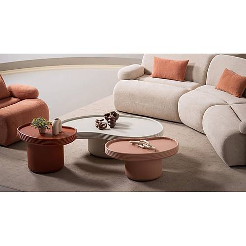 Kidney Coffee Table - Big