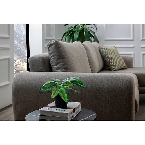 Trend Corner Set